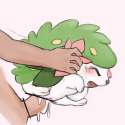 shaymin9.jpg