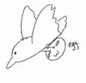 SmartSelectImage_2016-09-03-02-28-39.png