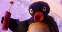 pingu22.jpg