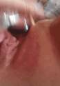 1.gif