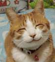 Happy.jpg