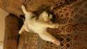 IMG-20160816-WA0021.jpg