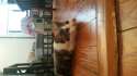 IMG-20160811-WA0008.jpg