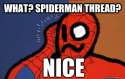 spidey 7.jpg