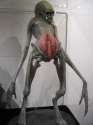Alien-_Resurrection_-_Newborn.jpg