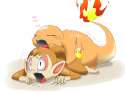Chimchar.png