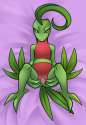 Grovyle10.png