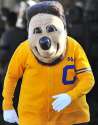 cal.jpg