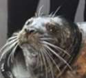 mfw.jpg