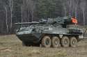 300px-Exercise_Allied_Spirit_I,_Day_5_150117-A-EM105-337.jpg
