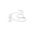 r.png