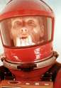 Keir_Dullea_26445_Medium.jpg