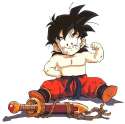 Gohan No Shirt 10.jpg