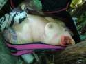 female%20torso%20found%20in%20suitcase%2003.jpg