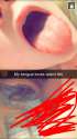 Screenshot_2016-03-08-01-56-36.png