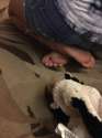 creepfeet.jpg