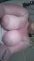 hhboobs.png