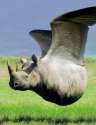 1298142990841.jpg