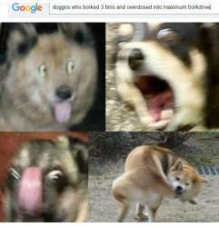 bubdud.jpg