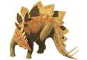 Stegosaurus.jpg