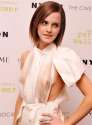 emma_watson_see_thru_tits2.jpg