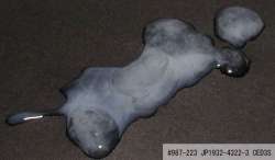 Sperm[1].jpg