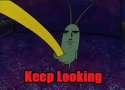 Keep Looking.jpg
