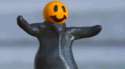 103671.gif