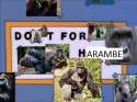 harambes_not_dead.jpg