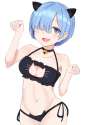 REM00141.jpg