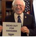 dicks_out_bernie.png