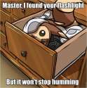 Furret9.jpg