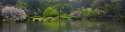 Angela-on-bridge-in-Shinjuku-Gyoen-National-Garden.jpg