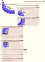 1243159094767.jpg