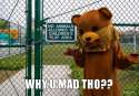 why-u-mad-tho.jpg