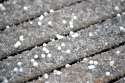 sleet-warped.jpg