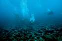 underwater-tire-removal-florida_via-broward_county.jpg