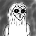 owl.png