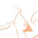 Blushchan.png