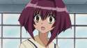 731.jpg