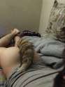 tail bp.jpg