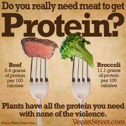 doyouneedmeattogetprotein-lg.jpg