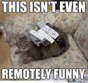 punny_o_747401.jpg