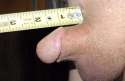 weird_lil_penis2.jpg