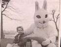 Bunny_02.jpg