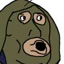 1978731_1530364047224333_5389181398491552404_n.png