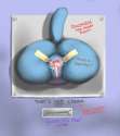 1756139 - Luraiokun Nicole_Watterson The_Amazing_World_of_Gumball.jpg