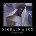 Nigger_b6b0a4_44811.jpg
