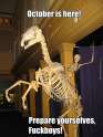 prepare-for-the-next-skeleton-wars-plebs_o_6011405.jpg