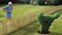 30shrub2.jpg